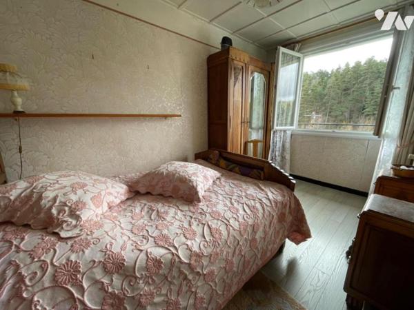 2 MAISONS A VENDRE A SAINT CHELY D'APCHER