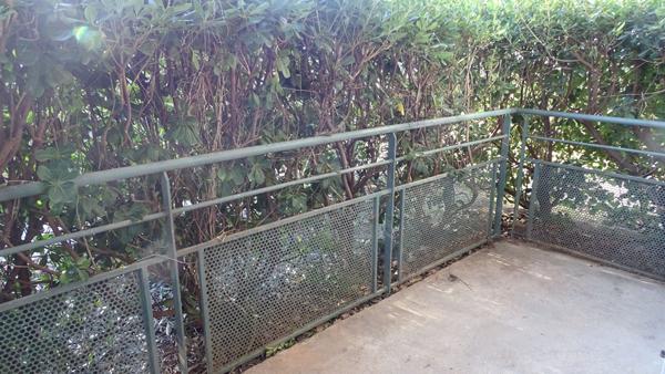 STUDIO AVEC TERRASSE CARCASSONNE