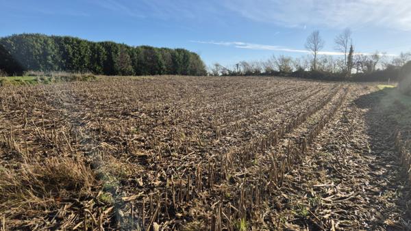 Rosporden (29140) Rosporden proche TERRAIN CONSTRUCTIBLE DE 1002 M²