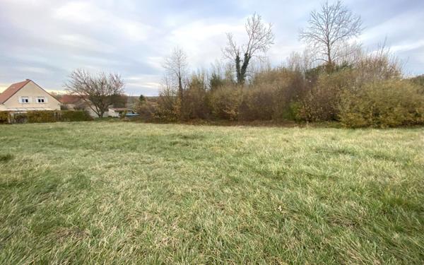 Terrain à vendre    Faverolles-et-Coëmy