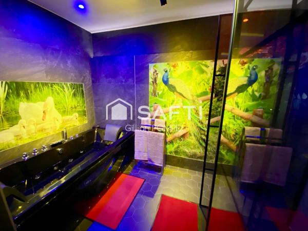 Magnifique appartement