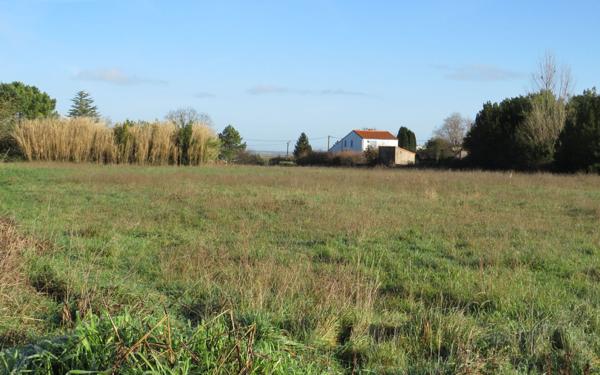 Terrain à vendre    Arvert