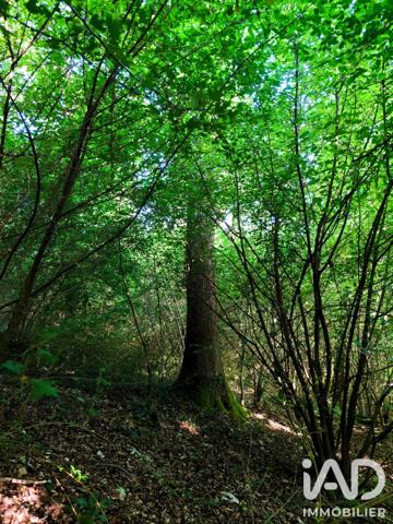 Terrain à vendre 102 550 m² Étais-la-Sauvin
