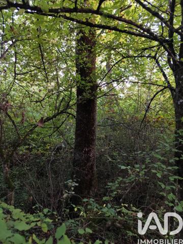 Terrain à vendre 102 550 m² Étais-la-Sauvin