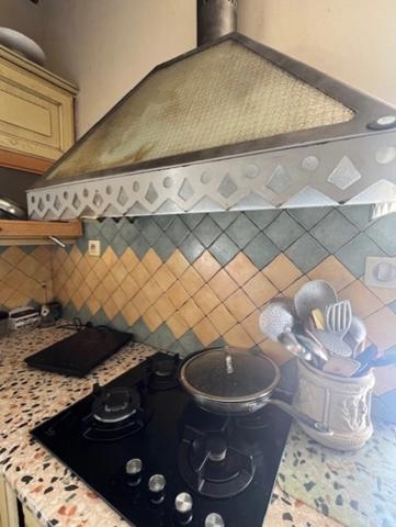 PLAISANCE DU GERS 10 min: ELEGANTE MAISON DE CARACTERE, restaurée par architecte, 320m2, 4700m2 en partie clos