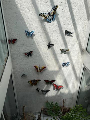 PLAISANCE DU GERS 10 min: ELEGANTE MAISON DE CARACTERE, restaurée par architecte, 320m2, 4700m2 en partie clos