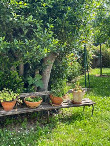 PLAISANCE DU GERS 10 min: ELEGANTE MAISON DE CARACTERE, restaurée par architecte, 320m2, 4700m2 en partie clos