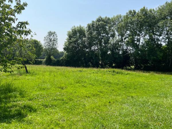 PLAISANCE DU GERS 10 min: ELEGANTE MAISON DE CARACTERE, restaurée par architecte, 320m2, 4700m2 en partie clos