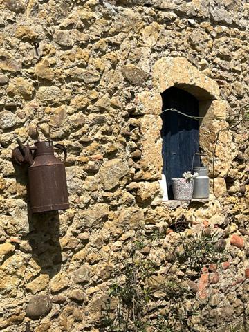 PLAISANCE DU GERS 10 min: ELEGANTE MAISON DE CARACTERE, restaurée par architecte, 320m2, 4700m2 en partie clos