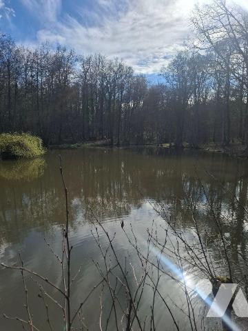 Terrains de loisirs, bois et étangs à vendre à Humbligny (18250) en Cher (18)

À Humbligny, c...