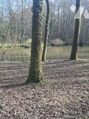 Terrains de loisirs, bois et étangs à vendre à Humbligny (18250) en Cher (18)

À Humbligny, c...