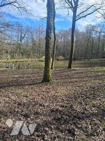 Terrains de loisirs, bois et étangs à vendre à Humbligny (18250) en Cher (18)

À Humbligny, c...