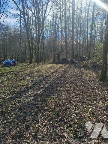 Terrains de loisirs, bois et étangs à vendre à Humbligny (18250) en Cher (18)

À Humbligny, c...