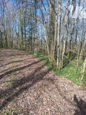 Terrains de loisirs, bois et étangs à vendre à Humbligny (18250) en Cher (18)

À Humbligny, c...