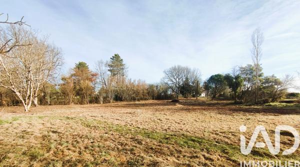 Terrain à vendre 1 200 m² Montdurausse