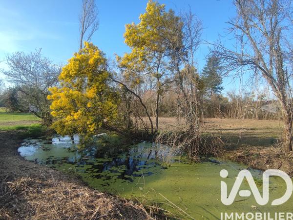 Terrain à vendre 1 200 m² Montdurausse