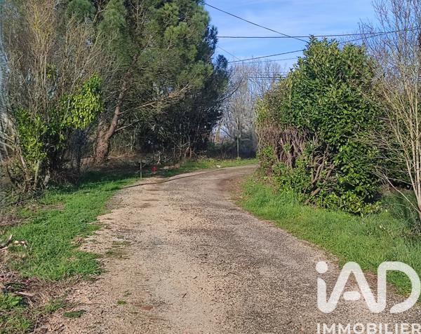 Terrain à vendre 1 200 m² Montdurausse