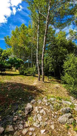 Maison familiale au coeur de la nature