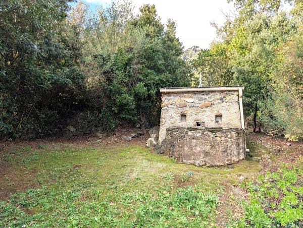 Propriété avec vue mer à Santa Maria Poggio