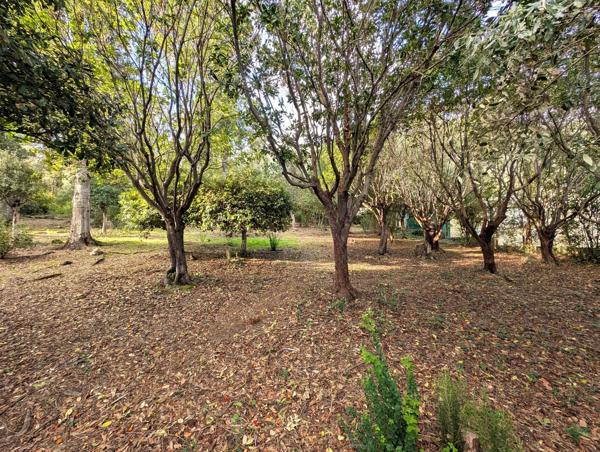 Propriété avec vue mer à Santa Maria Poggio