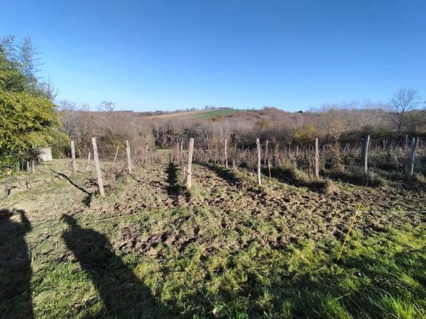 Propriété agricole de caractère – Plus de 11 hectares – Madiran (65)