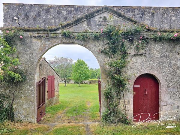 Ancienne ferme avec plus de 9 hectares