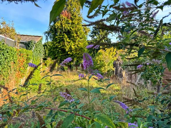 Maison Precigne 6 pièce(s) 144 m2