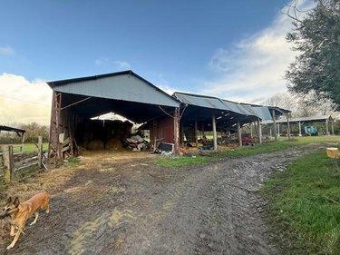 Terrain de loisirs - Bois - Etang à vendre à Livarot-Pays-d'Auge dans le Calvados (14140), ref : 14058-1715