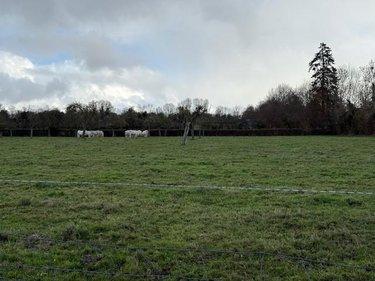 Terrain de loisirs - Bois - Etang à vendre à Livarot-Pays-d'Auge dans le Calvados (14140), ref : 14058-1715