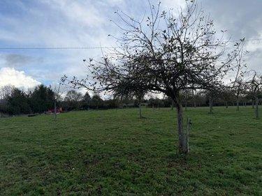 Terrain de loisirs - Bois - Etang à vendre à Livarot-Pays-d'Auge dans le Calvados (14140), ref : 14058-1715
