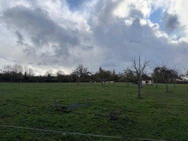 Terrain de loisirs - Bois - Etang à vendre à Livarot-Pays-d'Auge dans le Calvados (14140), ref : 14058-1715