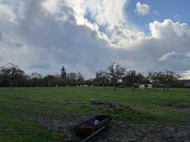Terrain de loisirs - Bois - Etang à vendre à Livarot-Pays-d'Auge dans le Calvados (14140), ref : 14058-1715