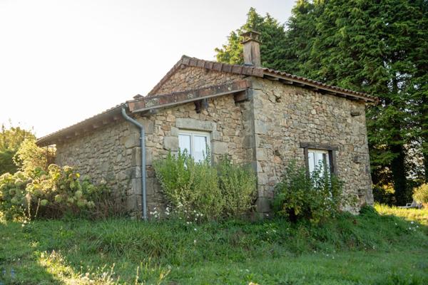 Proprieté avec grande maison, 2 gites locatifs, carrière et boxs pour chevaux, 12.5 hectares de terrain