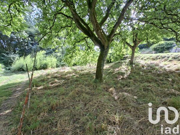 Maison à vendre 4 pièces 80 m² Langeais