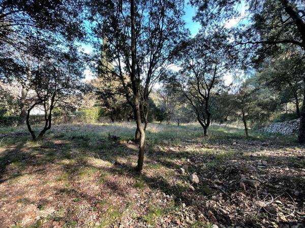 Murviel-lès-Montpellier (34570) Murviel les Montpellier, Terrain 2778m2 400 000€