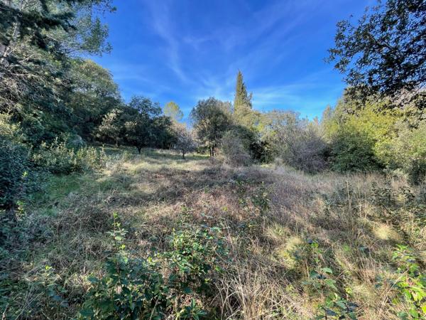 Murviel-lès-Montpellier (34570) Murviel les Montpellier, Terrain 2778m2 400 000€