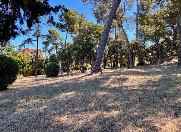 Rez de jardin
