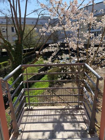 "APPARTEMENT LE MANS 1 PIECE 20M2"