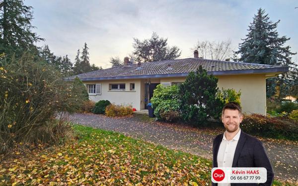 Maison à vendre    5 pièces •  Luttange