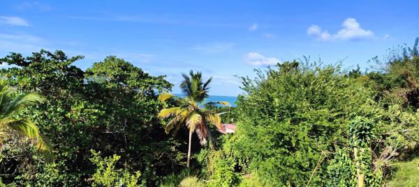 ( 97280 ) Le Vauclin - Maison de campagne avec vue mer