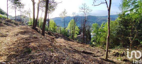 Terrain à vendre 2 251 m² Le Vigan