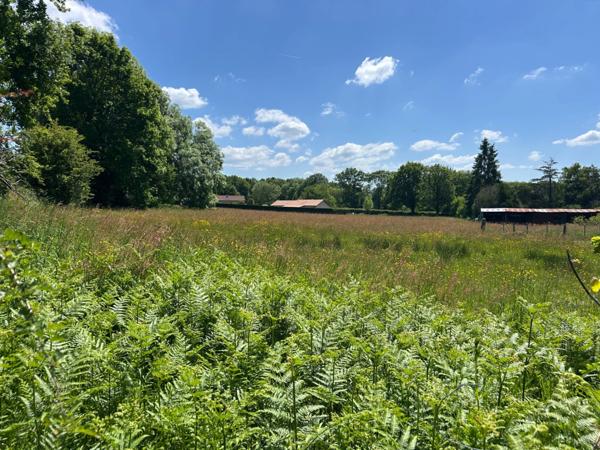 Terrain à vendre de 2 706,00 m² CHATEAUPONSAC (87)