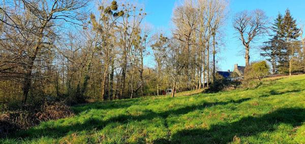 Dernier grand terrain à Dol de Bretagne