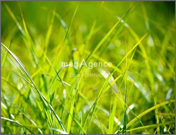 Terrain à SAINT-CHRISTOPHE-DES-BOIS, 35210 - 551m²