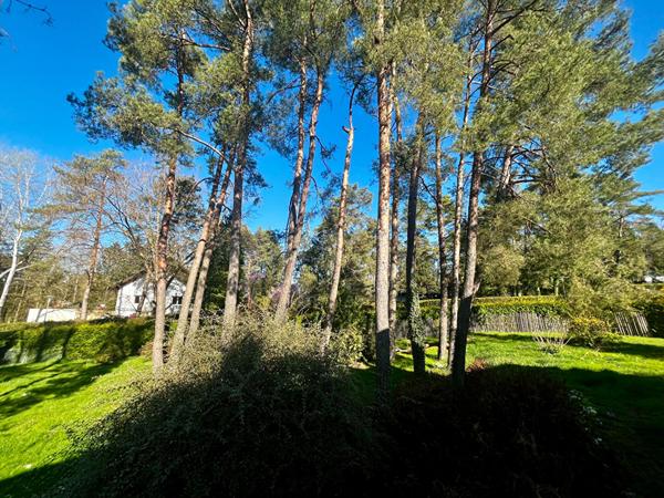 Magnifique Maison à Vittel Proche du Parc