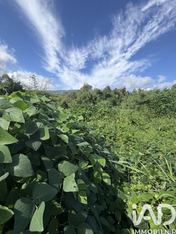 Terrain à vendre 3 600 m² Saint-André