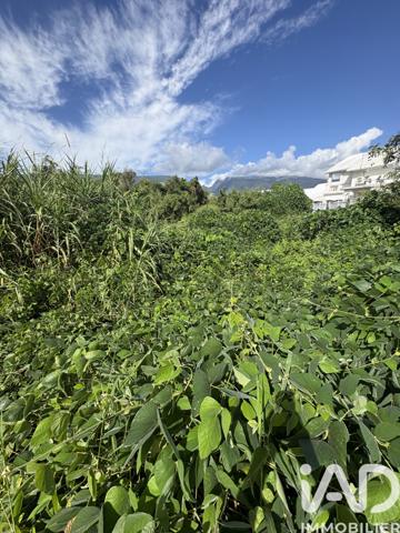 Terrain à vendre 3 600 m² Saint-André