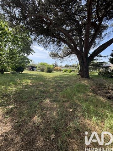 Terrain à vendre 1 519 m² Villenave-d'Ornon