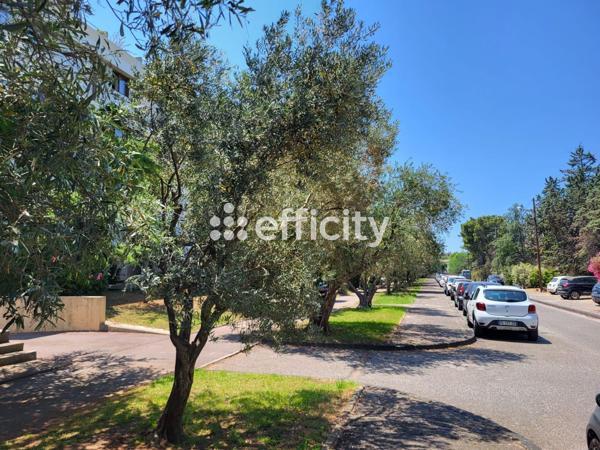 Appartement 4 pièces - 84 m² Exclusivité efficity