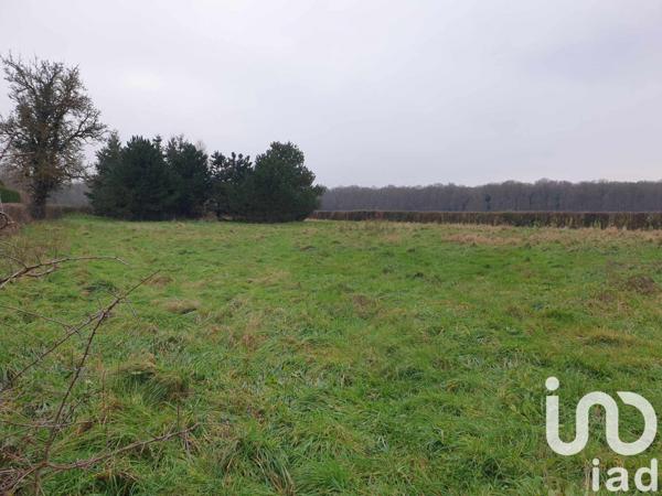 Terrain à vendre 2 784 m² Beaumont-le-Roger